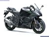 Kawasaki NINJA 1100SX