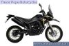 Voge RALLY 300 ADV DEMO