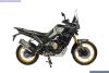 Voge DS800X RALLY